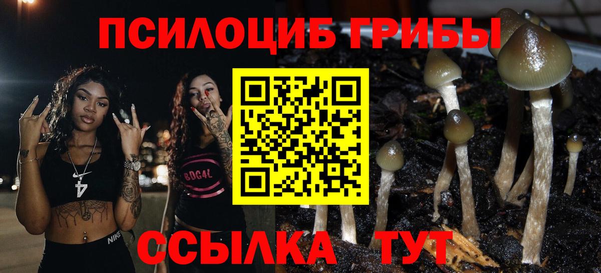 Псилоцибиновые грибы Cubensis  хочу наркоту  Ижевск  Вход с VPN 